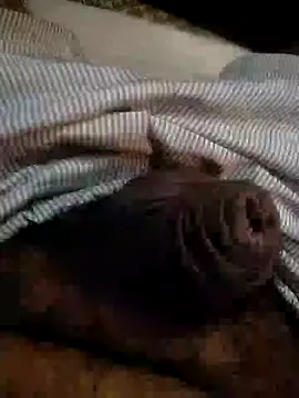 Kinkyluvi online show from January 2025 11:42:01 PM