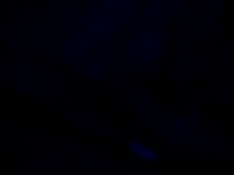 Vinyboy69 online show from November 2025 04:12:02 AM