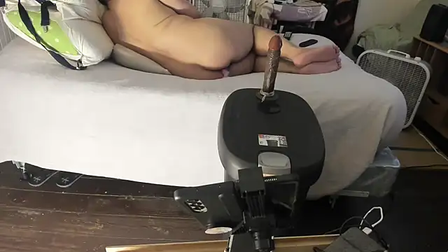 Snapshot of poyabig chatting on January 2025 09:20:01 PM poyabig online show from January 2025 09:20:01 PM