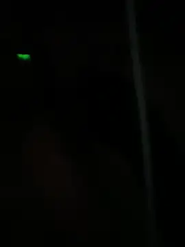 dimitriei online show from January 2025 08:54:01 AM