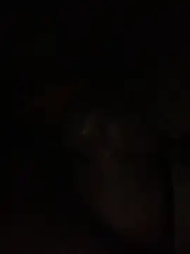 ThickD619 online show from December 2024 12:23:01 PM