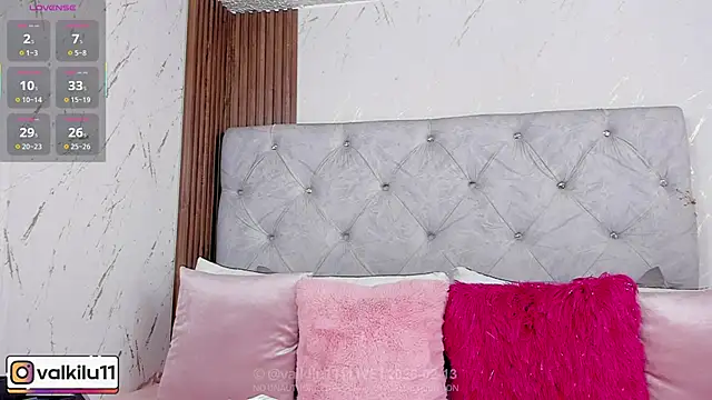 Snapshot of valkilu11 chatting on February 2026 11:23:01 PM valkilu11 online show from February 2026 11:23:01 PM