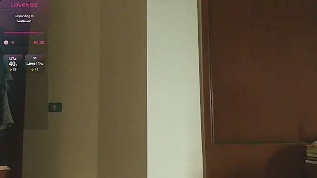 Snapshot of sadetuiningaa chatting on March 2025 11:42:01 PM sadetuiningaa online show from March 2025 11:42:01 PM