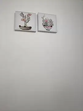 SophiaLaurens online show from October 2025 01:34:01 PM