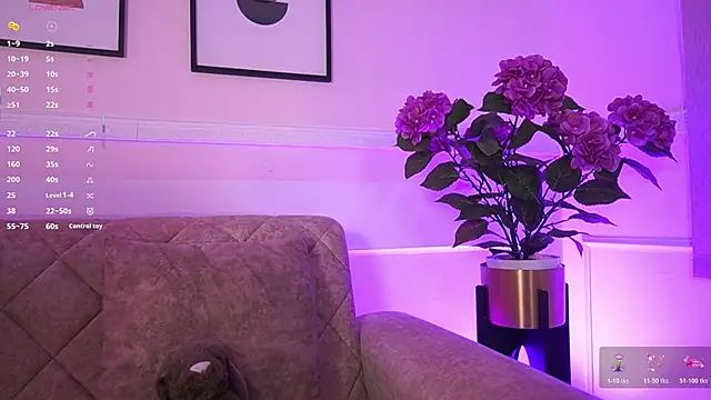 Anybuny online show from February 2026 11:38:02 AM