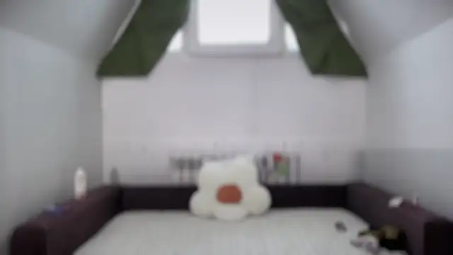 Nick Win online show from January 2025 07:04:01 AM