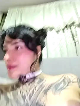 taaylor33 online show from November 2025 04:55:01 AM