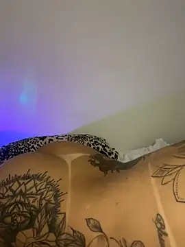 TigrezaSC online show from February 2025 07:56:02 AM