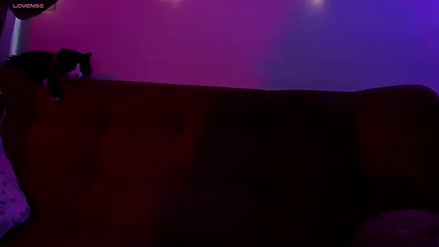 ohpetitemuse online show from November 2025 03:23:02 PM