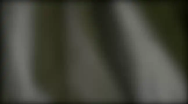 Snapshot of YoungHairyBi chatting on February 2025 08:42:02 AM YoungHairyBi online show from February 2025 08:42:02 AM