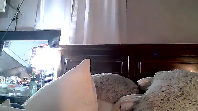 paiday online show from December 2024 12:08:01 AM