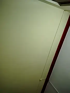 Snapshot of pune_vinay chatting on February 2025 04:25:01 PM pune vinay online show from February 2025 04:25:01 PM