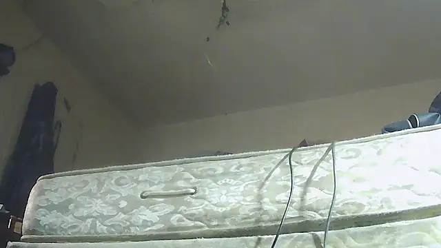 pipeload1275 online show from January 2026 05:57:01 AM