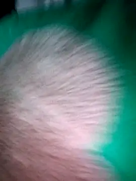 Haralushiaaa online show from December 2025 11:57:02 PM