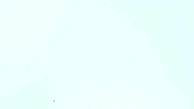  Lakshmi hotx online show from December 2024 12:33:01 PM