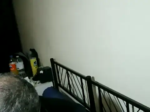 100Tauros online show from February 2026 10:47:02 PM