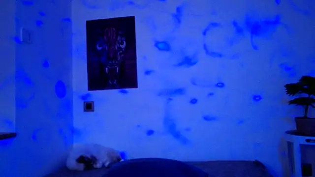 Snapshot of ValeryCrowley14 chatting on January 2026 09:03:02 AM ValeryCrowley14 online show from January 2026 09:03:02 AM