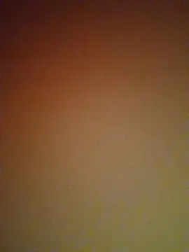 mendelicius online show from February 2025 06:09:02 PM