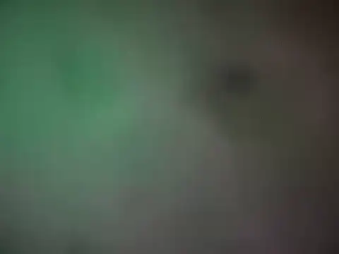 IncurvedHarbor online show from March 2026 10:13:01 PM