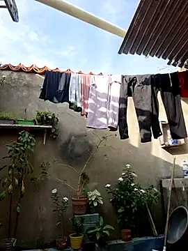 room 24funn online show from January 2026 08:32:02 PM