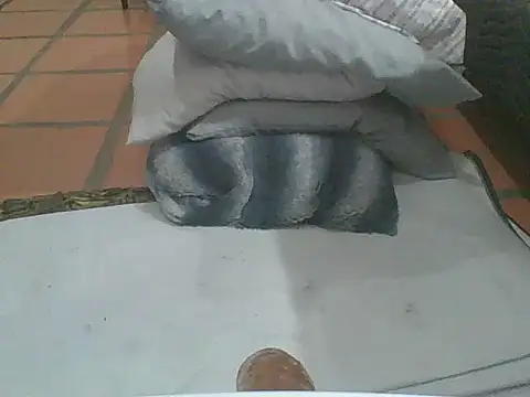 Snapshot of MrPatrick777 chatting on February 2026 03:56:01 AM MrPatrick777 online show from February 2026 03:56:01 AM