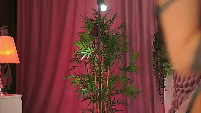 Evelyn Evyyy online show from February 2025 07:19:02 PM