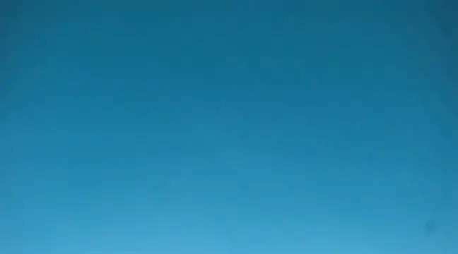 Kaarla    online show from January 2025 03:19:01 PM