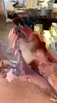 elber-gdo online show from February 2025 10:55:01 PM