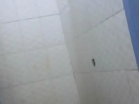 Bootiq online show from May 2026 09:01:02 PM