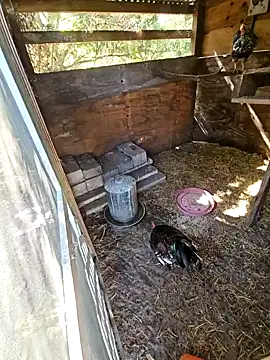 Mistress Melissa online show from February 2025 04:41:02 PM