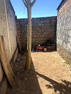 king cum  online show from November 2025 12:05:02 PM