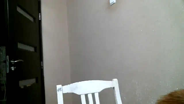 DennisXCaroll online show from February 2025 12:04:02 AM