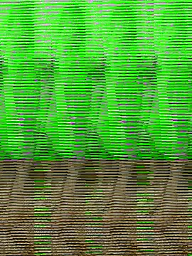 HimiJim online show from November 2025 11:42:02 AM