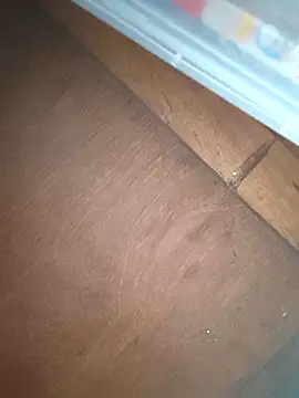 Srmotrs online show from February 2026 07:14:01 AM