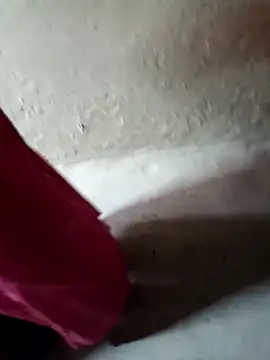 hairipussy2 online show from January 2025 04:26:01 AM