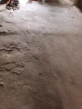 hairipussy2 online show from February 2025 05:14:01 AM