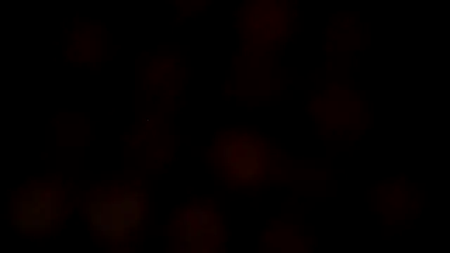 leatherz69 online show from February 2025 07:12:01 AM