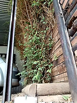 slimmydaddy69 online show from April 2026 07:51:02 AM