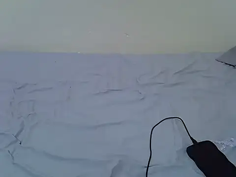 tasty piee online show from October 2025 04:42:01 AM