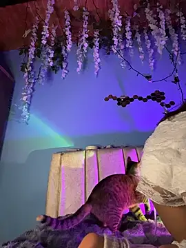 Snapshot of Lily_candy_X chatting on March 2026 05:24:02 AM Lily candy X online show from March 2026 05:24:02 AM