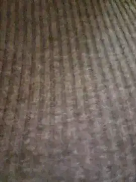 Snapshot of lamorbosa37 chatting on February 2026 08:13:01 PM lamorbosa37 online show from February 2026 08:13:01 PM