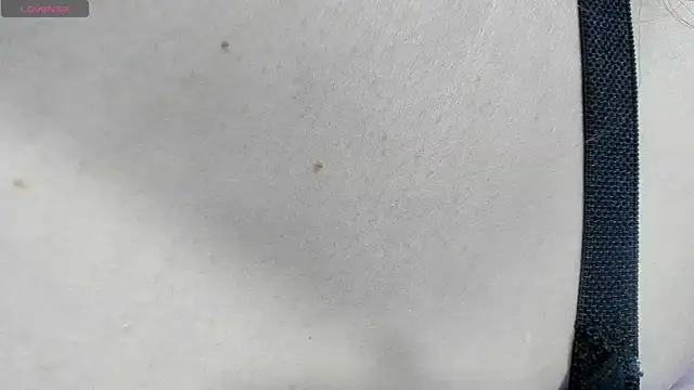 Snapshot of carofox89 chatting on March 2025 12:26:02 AM carofox89 online show from March 2025 12:26:02 AM