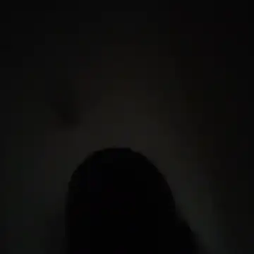 Snapshot of wlammi_ptr chatting on December 2025 05:01:01 AM wlammi ptr online show from December 2025 05:01:01 AM