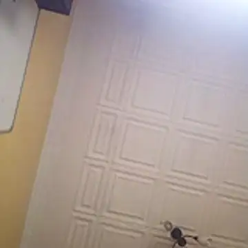 wlammi ptr online show from January 2026 10:41:02 AM