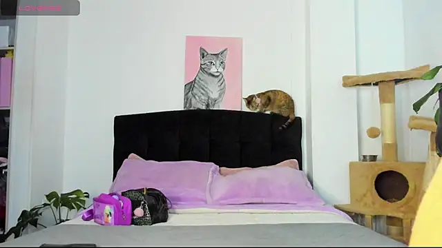 JuliaRose ks online show from March 2026 01:21:01 AM