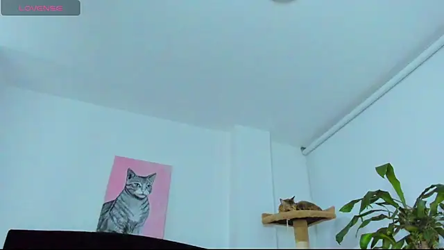 JuliaRose ks online show from March 2026 01:33:02 AM