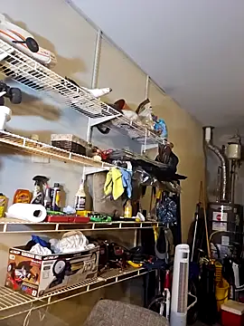 personalityalwayswins2 online show from January 2025 10:20:02 AM