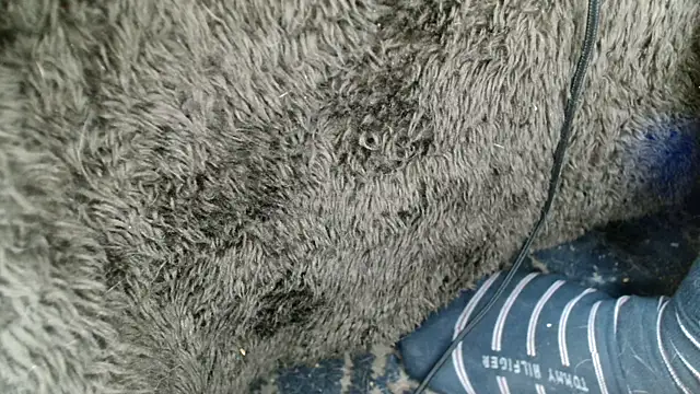 Snapshot of Gigadickman chatting on December 2024 09:02:01 AM Gigadickman online show from December 2024 09:02:01 AM