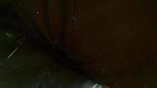 Snapshot of Gigadickman chatting on January 2025 10:11:02 PM Gigadickman online show from January 2025 10:11:02 PM