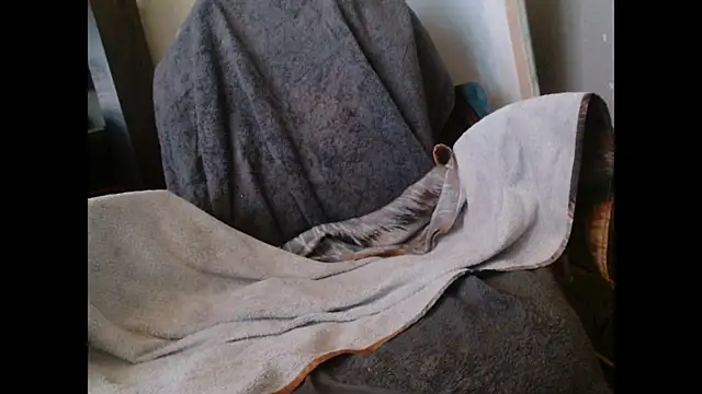 Snapshot of Gigadickman chatting on January 2025 12:43:02 AM Gigadickman online show from January 2025 12:43:02 AM